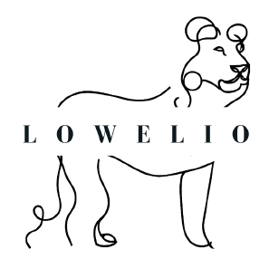 Lowelio Webdesign